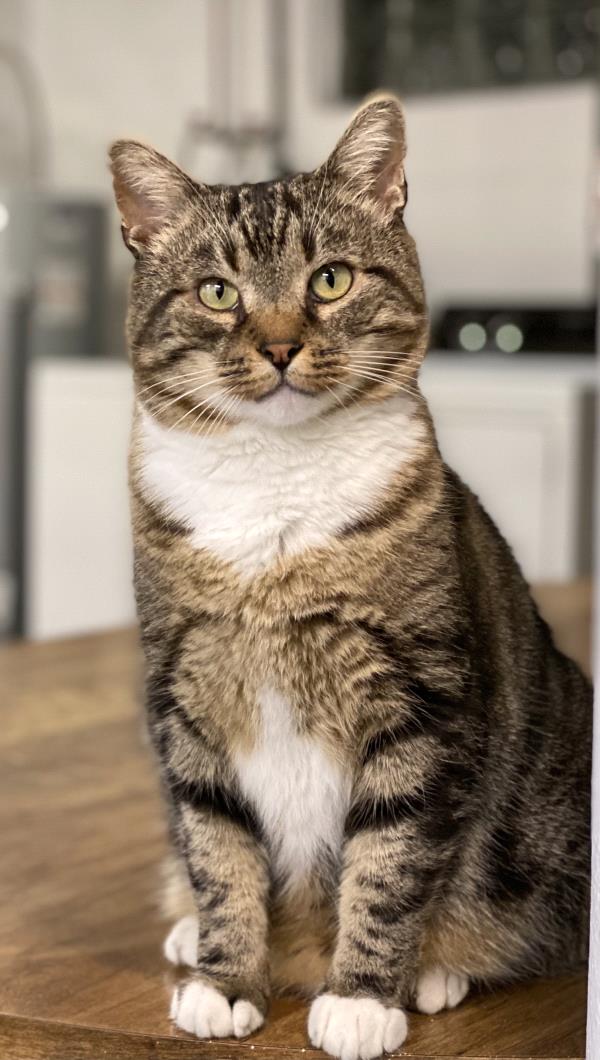 /Images/uploads/Four Footed Friends/FourFootedFriends/entries/18317thumb.jpg